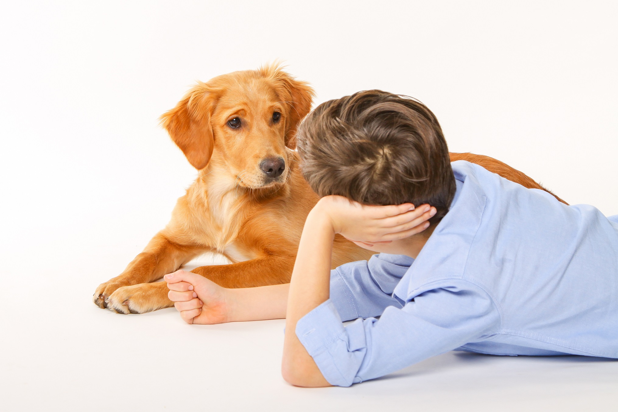 Kind erzählt Hund über Schlafstörung.